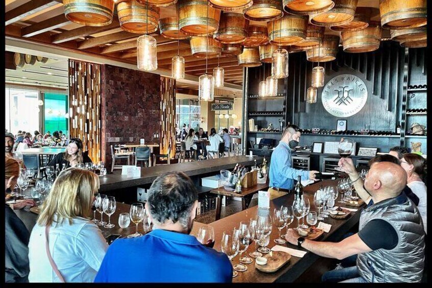 Local Vineyard, Tasting, and Culture Tour
