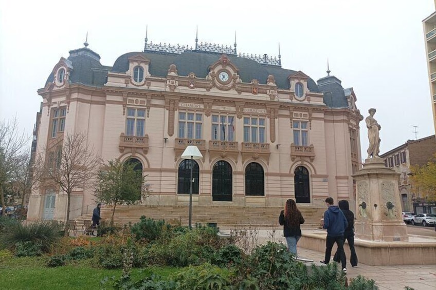 Tour guide in Mâcon - Visit Mâcon and its vineyards !