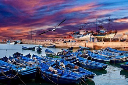 Excursion privée d'une journée complète à Essaouira au départ de Marrakech