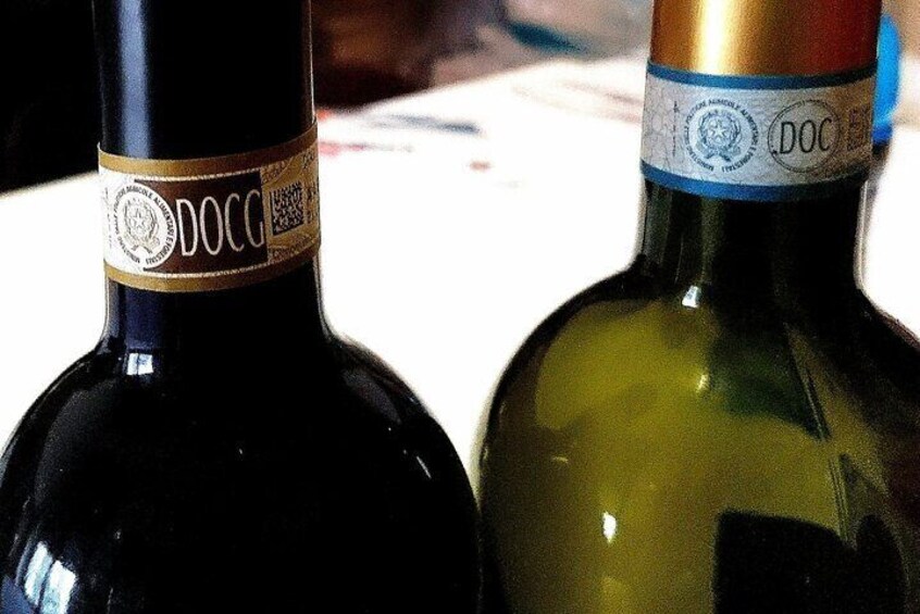 Wine Tasting and Tour of The Most Beautiful Cellar in the World