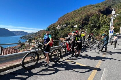 E-Bike Tour Lake Como and Swiss Vineyards