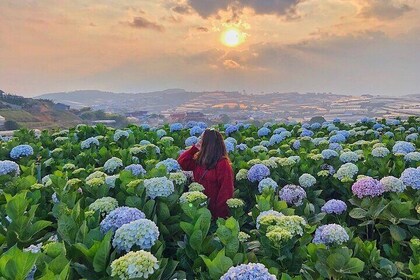 Full Day Car Tour Excursion Dalat ( Minimum 4 guest)