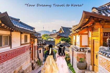 带专业导游的私人全日定制之旅