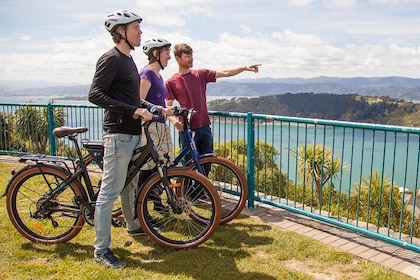 Guided Wellington Tour by Electric Bike