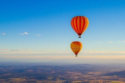 Gold Coast varmluftsballong + vingårdsfrukost + returtransfer