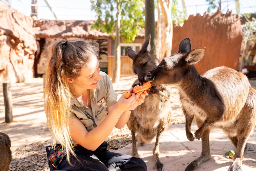 WILD LIFE Sydney Zoo - Fast Track Admission