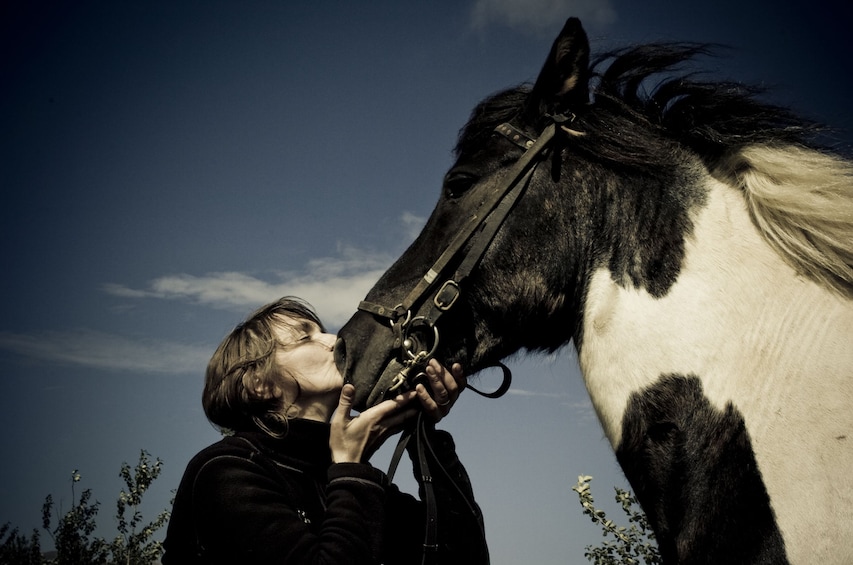 Horse Riding & Golden Circle Full-Day Tour