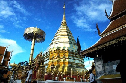 Excursion to Chiang Mai's Ancient Temples