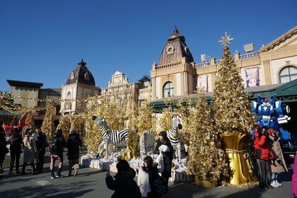 Everland Private Shuttle "Total Private Tour: More Members Less Cost"