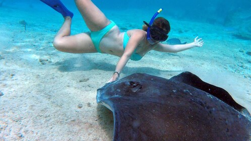 Snorkel: ¡A todo el mundo le encantan los rayos!