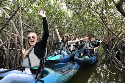 Thousand Island Mangrove Tunnel, Seekuh- und Delfin-Kajaktour mit Kakao-Kaj...