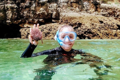 Arrábida Snorkeling Adventure con trasferimento da Lisbona