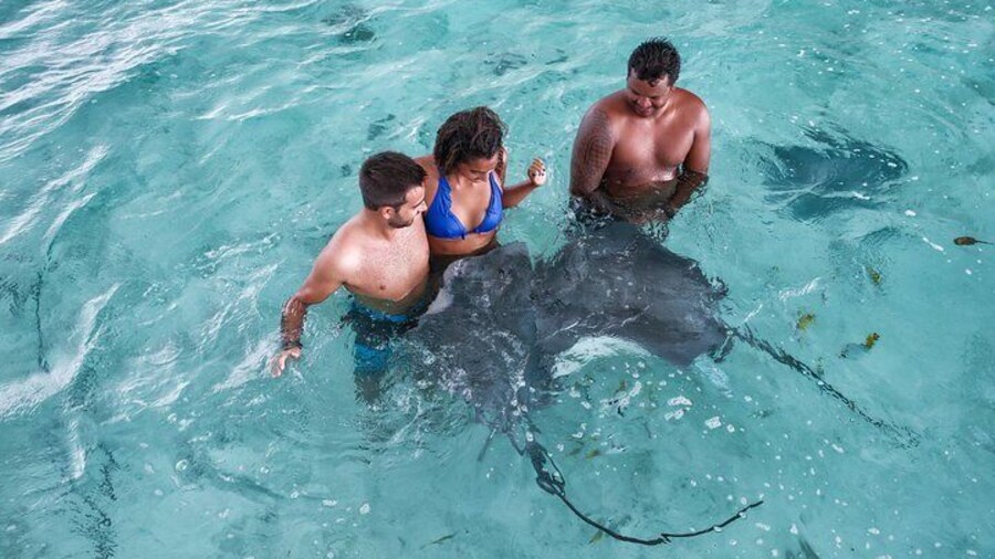 Immersion with the wildlife !