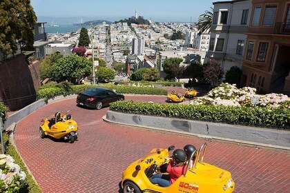Tour especial de todo el día en GoCar en San Francisco