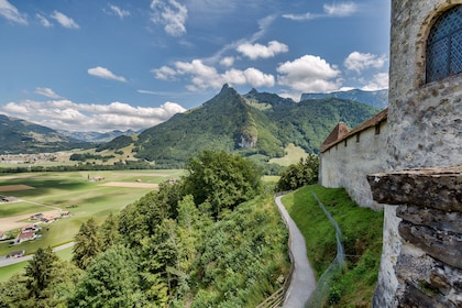 Visita privada a Gruyères: campo de una fábrica de chocolate y queso