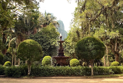 Jardín Botánico de Río de Janeiro