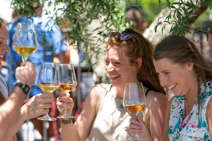Vesuv og vingård, lunsj og vinsmaking fra Sorrento