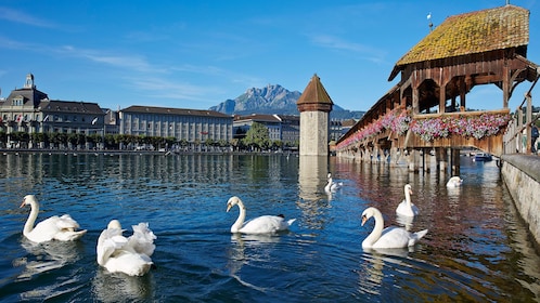 Luzern Tagesausflug von Zürich aus