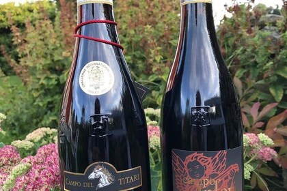 Amarone-Valpolicella wine tour - visit Verona. From Venice