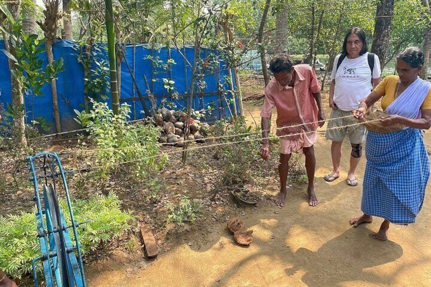 Half Day Village Backwater Eco Country Boat Cruise :Group Tour from Fort Cochin 