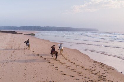 Plage de Bordeira - Randonnée à cheval au coucher du soleil