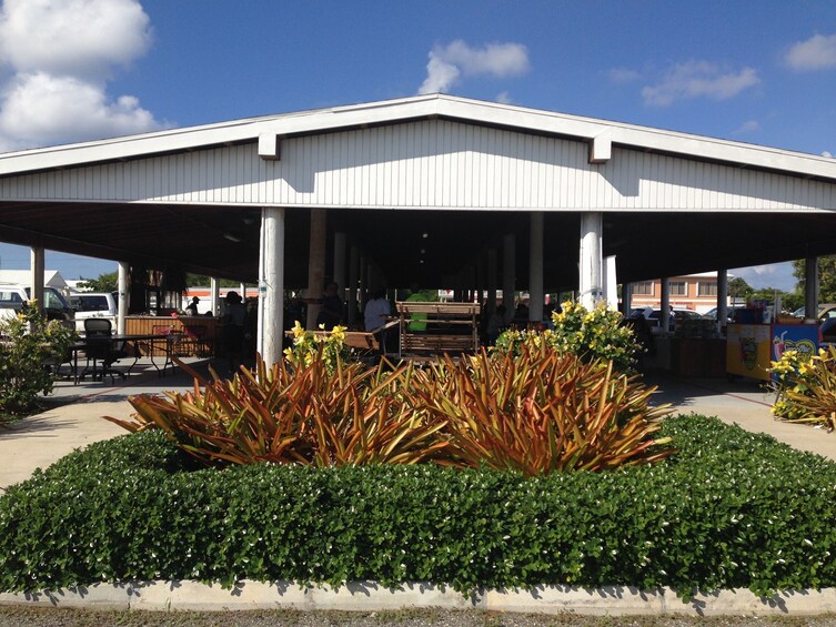 West Bay Sightseeing Tour Plus Seven Mile Beach Visit