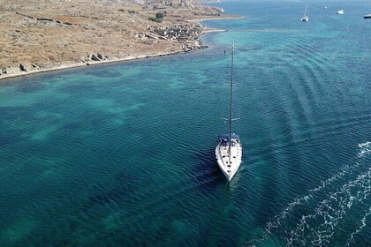 All-inclusive Delos & Rhenia Islands tour up to 12 pax (free transport)