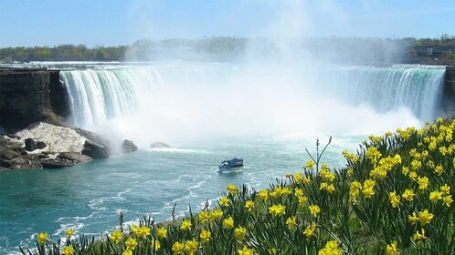 Excursión por las cataratas del Niágara con Maid of the Mist y comida en el...