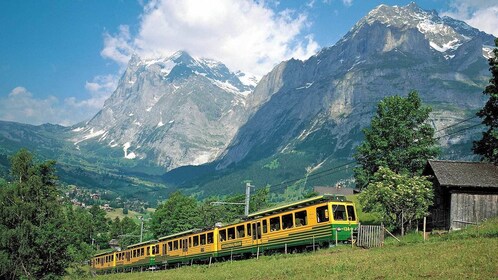 Eiger & Alpengletscher Ganztagestour ab Luzern