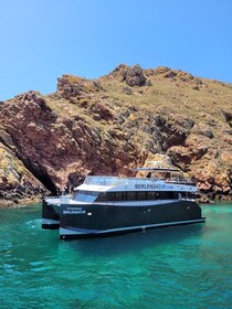 Peniche: Berlengas Island Round-Trip Ferry with Island Stop