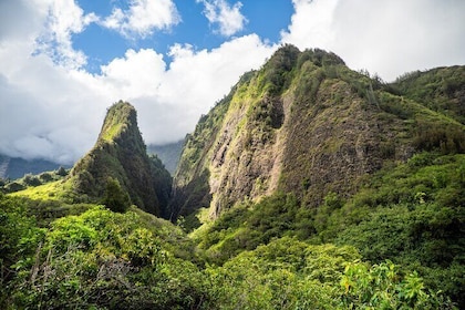Golden Pineapples & Hidden Gems: A Private Upcountry Tour