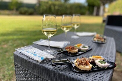 Guided E-Bike tour with food and wine tasting.