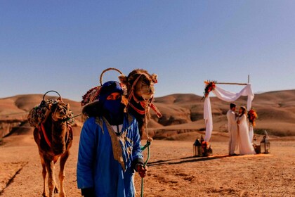 Marrakech : Désert et montagne excursion avec promenade à dos de chameau et...