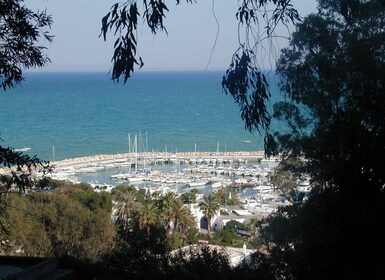 Von Tunis: Halbtagestour nach Karthago und Sidi Bou Said