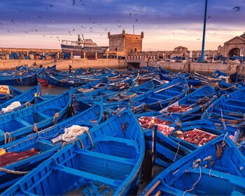 Au départ de Marrakech : Excursion d'une journée à Essaouira
