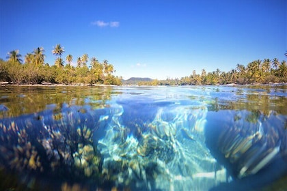 Raiatea-Le Taha'a Lagoon Full Day All Inclusive Tour