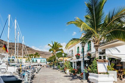 Desde Las Palmas: Lo mejor de Gran Canaria en un día