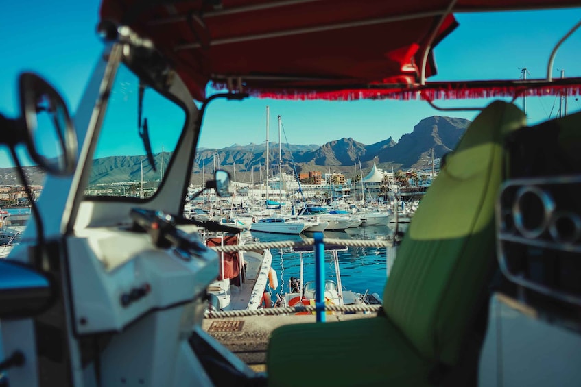 Costa Adeje: Tuk Tuk Tour
