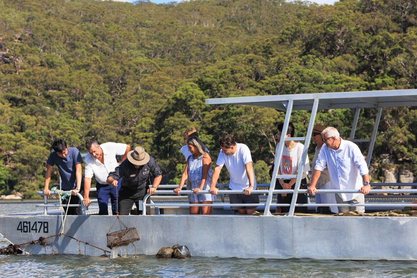 Picture 3 for Activity Shell to Showroom - Sydney's only Pearl Farm Experience