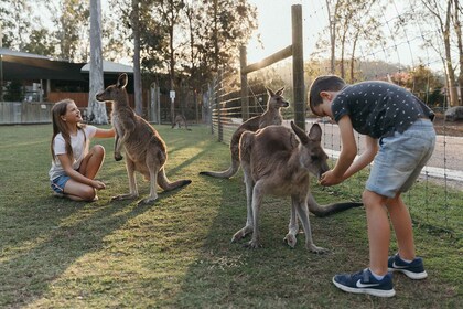 Paradise Country: Den ultimate australske gårdsopplevelsen