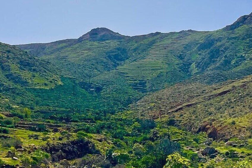 Sightseeing big Tour in Fuerteventura, group max 8 pax.