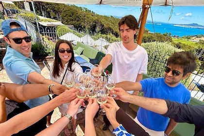 Waiheke Island Scenic Tour Wine+Lunch at Award winning Restaurant