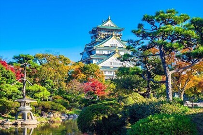 Tour en Food Tour in Osaka met overheidsgids Alles inbegrepen