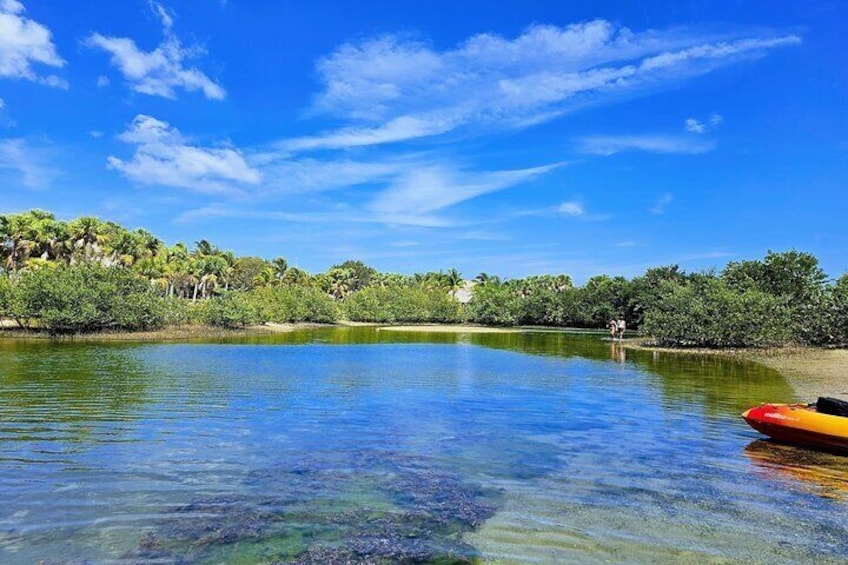 the lagoon