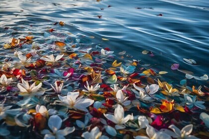 Burial at Sea Celebration of Life Charter