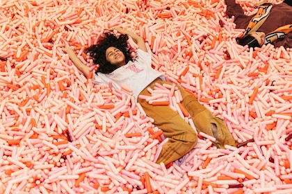 NYC: Tiket Masuk Museum Es Krim