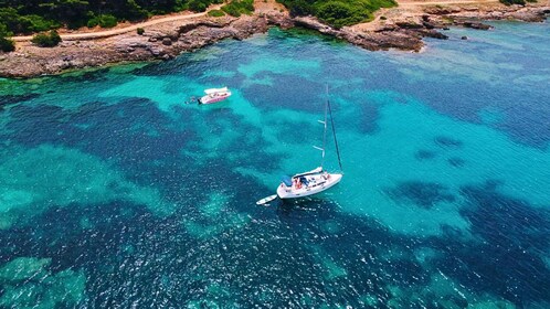 Alghero: Purjeveneretki Porto Conten lahdella w/ Lounas