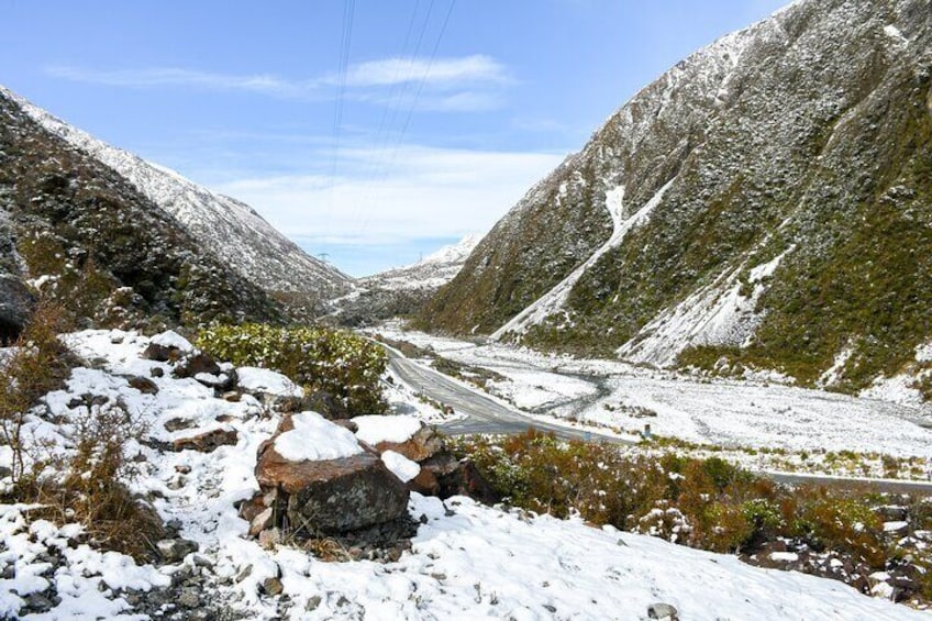 Full Day Arthurs Pass Tour with Tranzalpine Train in New Zealand