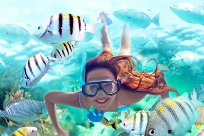 Snorkel dans les récifs de Yalku et Cenote + VTT + 4 tyroliennes + Déjeuner