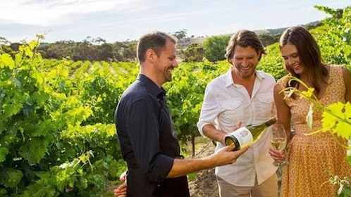 Ontario: tour de vinos y maridaje de quesos por la tarde